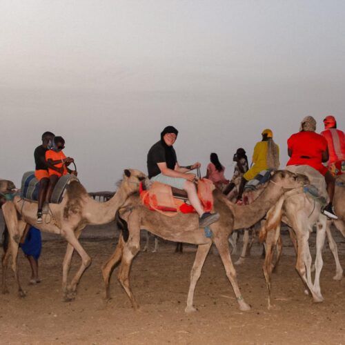 IMG-20250619-WA0051
